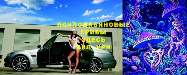 дживик Верея